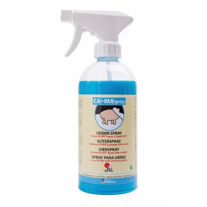 Afbeeldingen van Cai Pan Sprizz blauw 500 ml