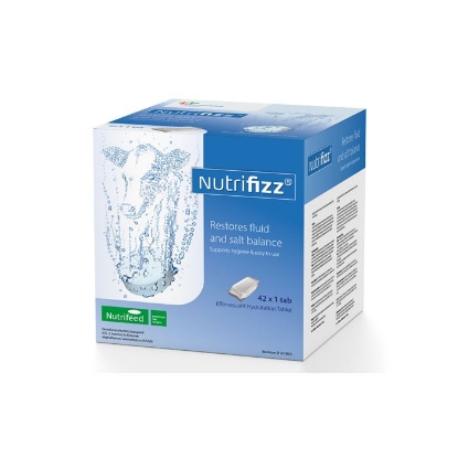 Afbeeldingen van Nutrifizz bruistablet 42 x 1 tablet