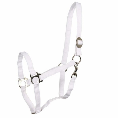 Afbeeldingen van Paardenhalster nylon wit nr. 00/45 VX