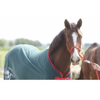 Afbeeldingen van GrandNational Paardendeken Fleece 185cm