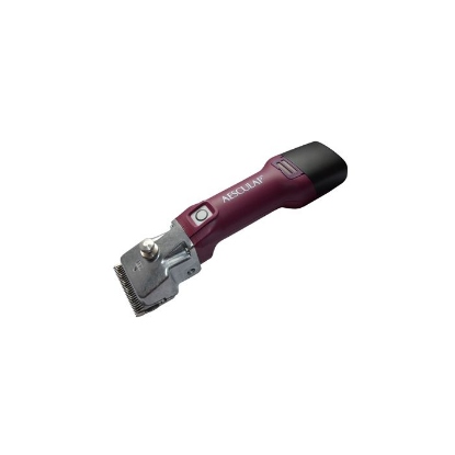 Afbeeldingen van Econom CL Equipe GT816 met 2e accu