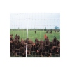 Afbeeldingen van Kippennet 105 cm dubbele pen