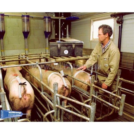 Afbeeldingen van INSEMINATIERIEM MET KLITTENBAND