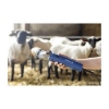 Afbeeldingen van Scheermachine Econom NOVA 200 watt schaap GT694