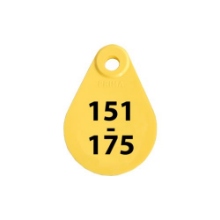 Afbeeldingen van Nekplaatje geel 151-175