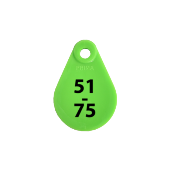 Afbeeldingen van Nekplaatje groen 51-75